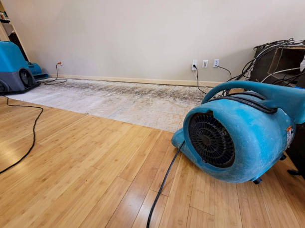 Professional Sewage Cleanup technician working in Westport Point, MA